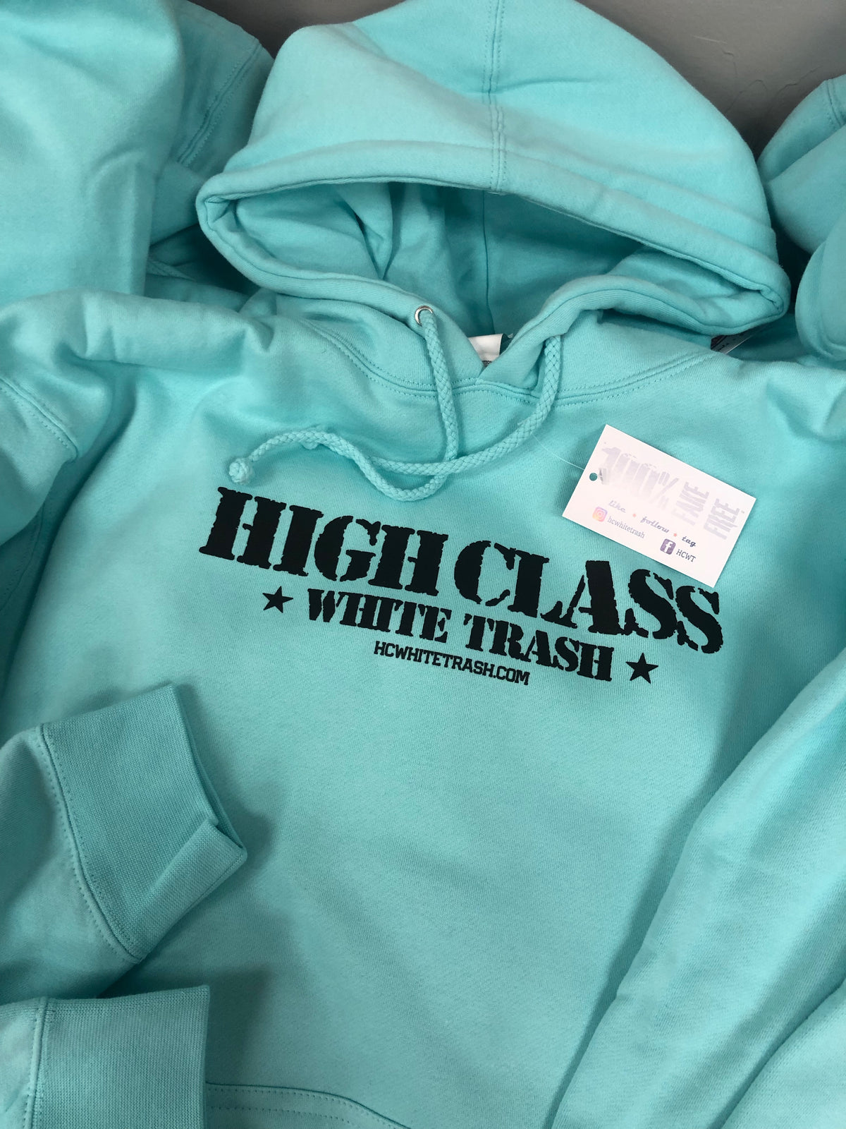 HCWT Stamp Print Logo Unisex Heavyweight Pullover Hoodie in Mint