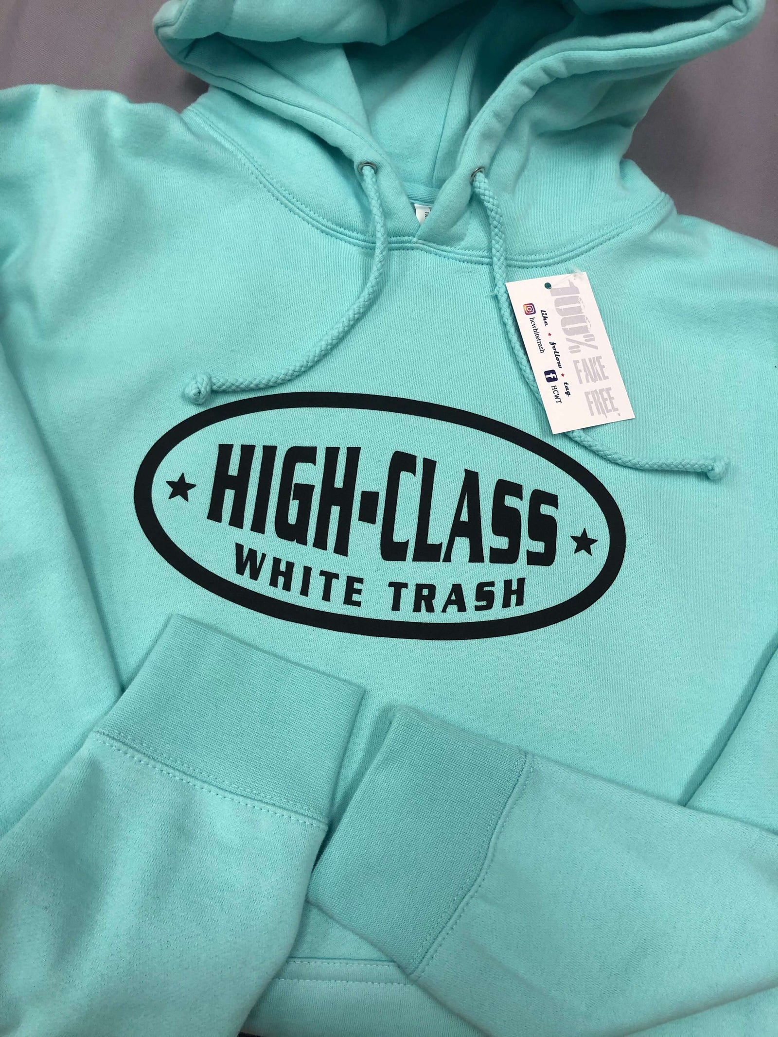 HCWT OG Oval Logo Unisex Heavyweight Pullover Hoodie in Mint - 01